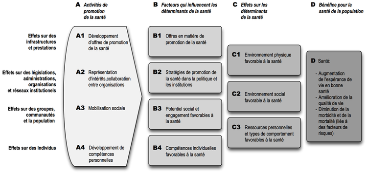 Catégorisation resultats